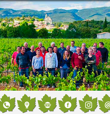 Truffes et vins à la Cave des Vignerons du Mont Ventoux, à Bédoin