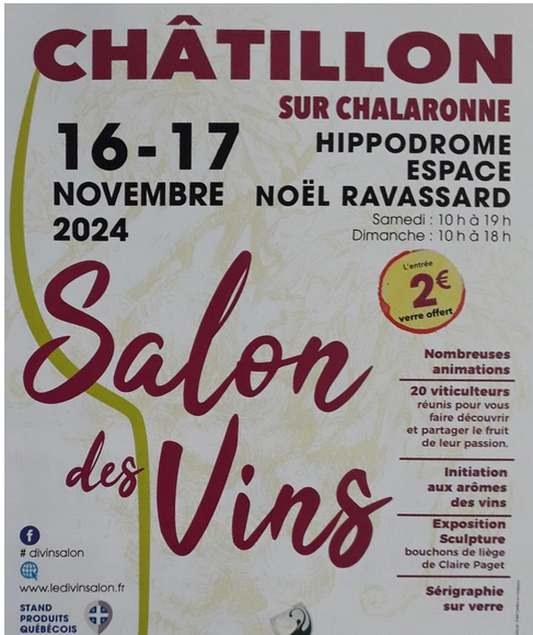 LE DIVINSALON - CHATILLON SUR CHALARONNE - 01