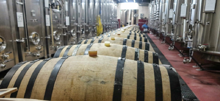 Récolte 2025 : Estimations en Côtes du Rhône et CDR Villages