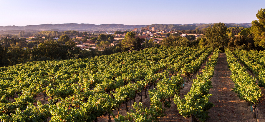 [Laudun] Laudun est le 18e Cru des Côtes du Rhône