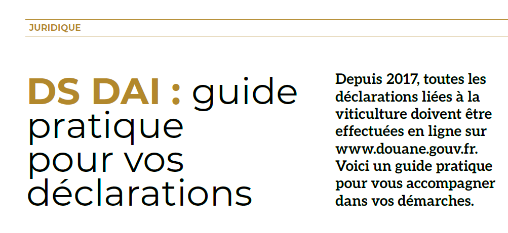 DS DAI : guide pratique pour vos déclarations