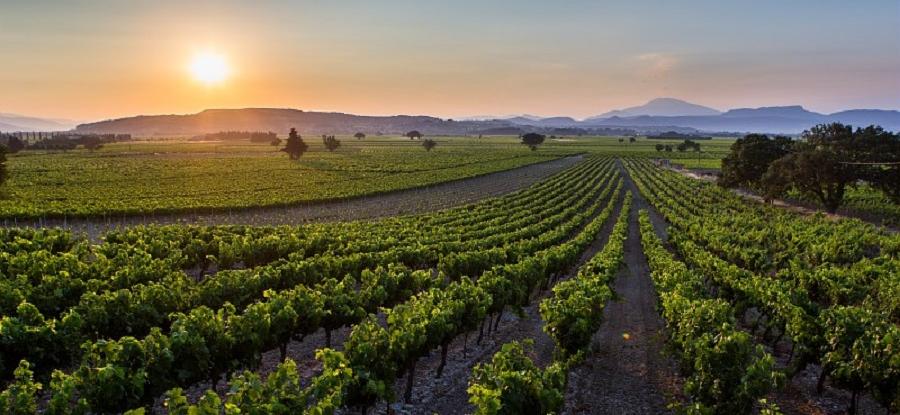 [CDRV Sainte-Cécile les Vignes] Modernisation du réseau d’irrigation