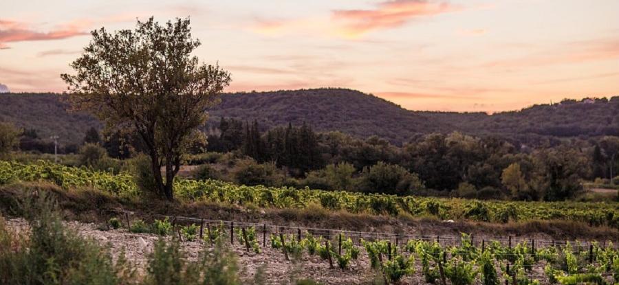 [CDRV Signargues] 27 nuances de  Signargues