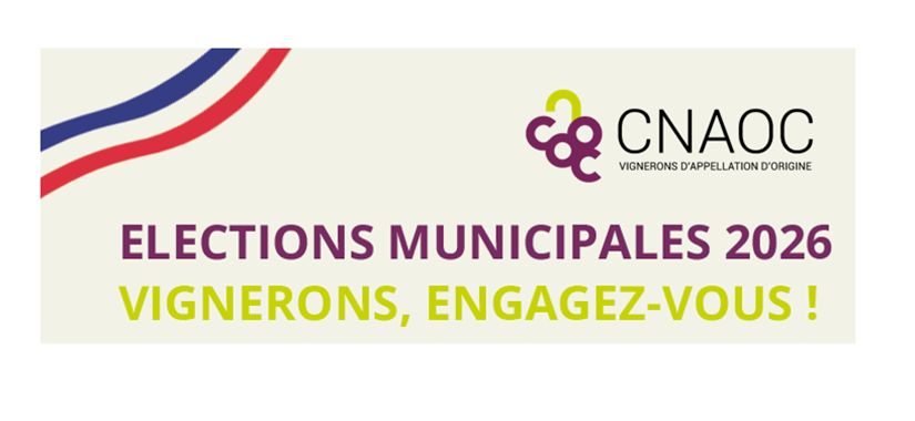 Elections municipales 2026