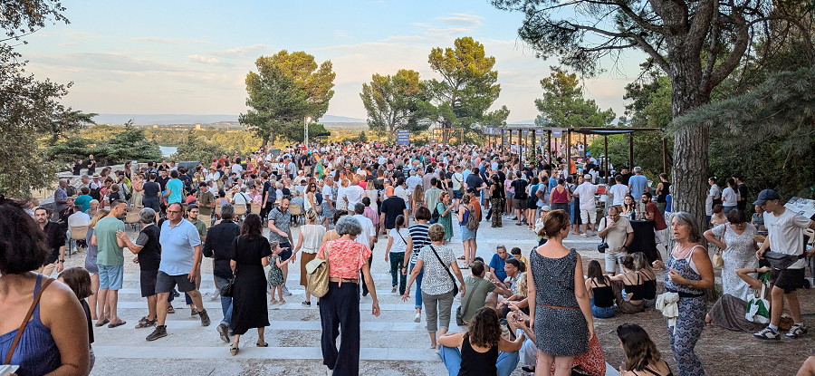 [Côtes du Rhône] Ban des vendanges 2024