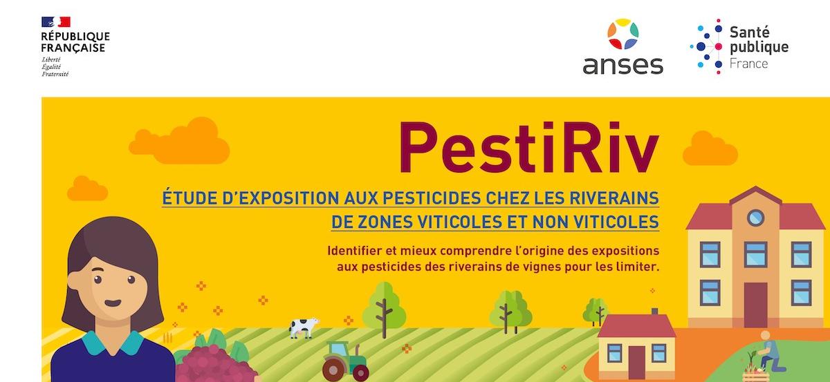 Étude PestiRiv : la filière viticole réagit à la publication des résultats