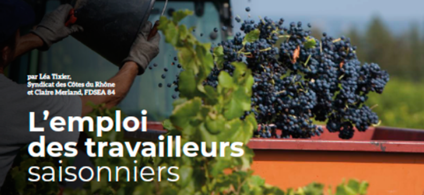 Dossier spécial Emploi des travailleurs saisonniers - Le Vigneron des CDR juillet-août 2024