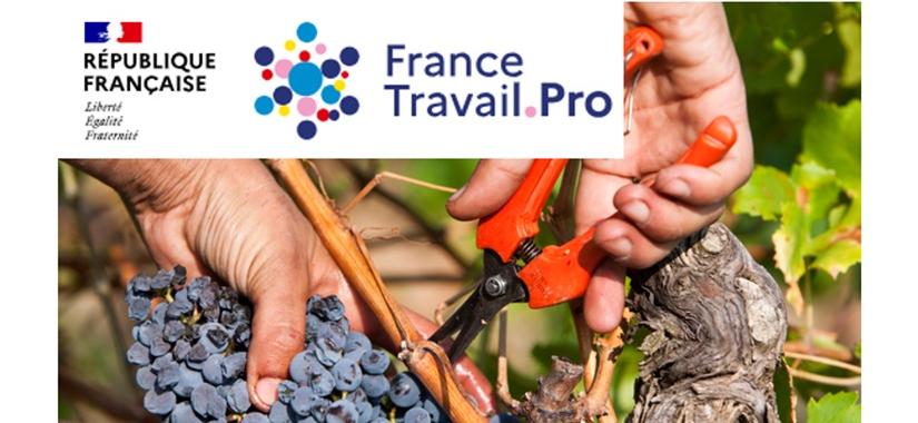 Recrutement : les services de France Travail pour vous accompagner