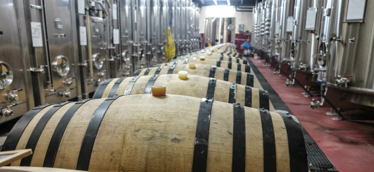 Récolte 2023 : estimations en Côtes du Rhône et CDR Villages